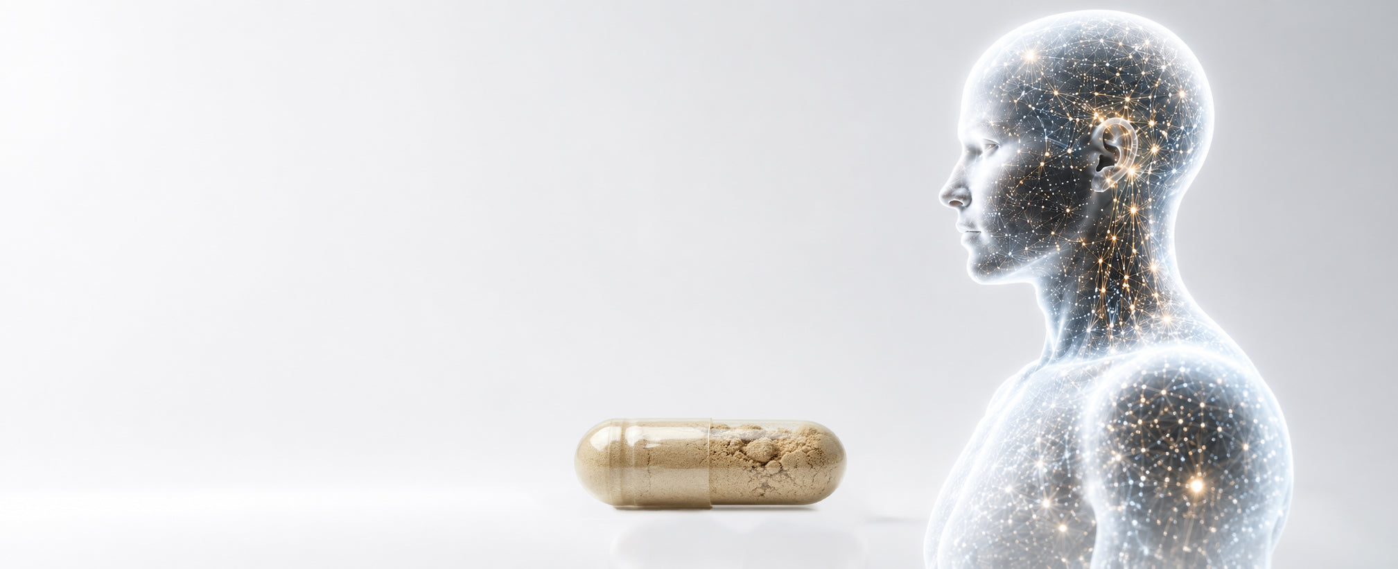 Cellular wellness research