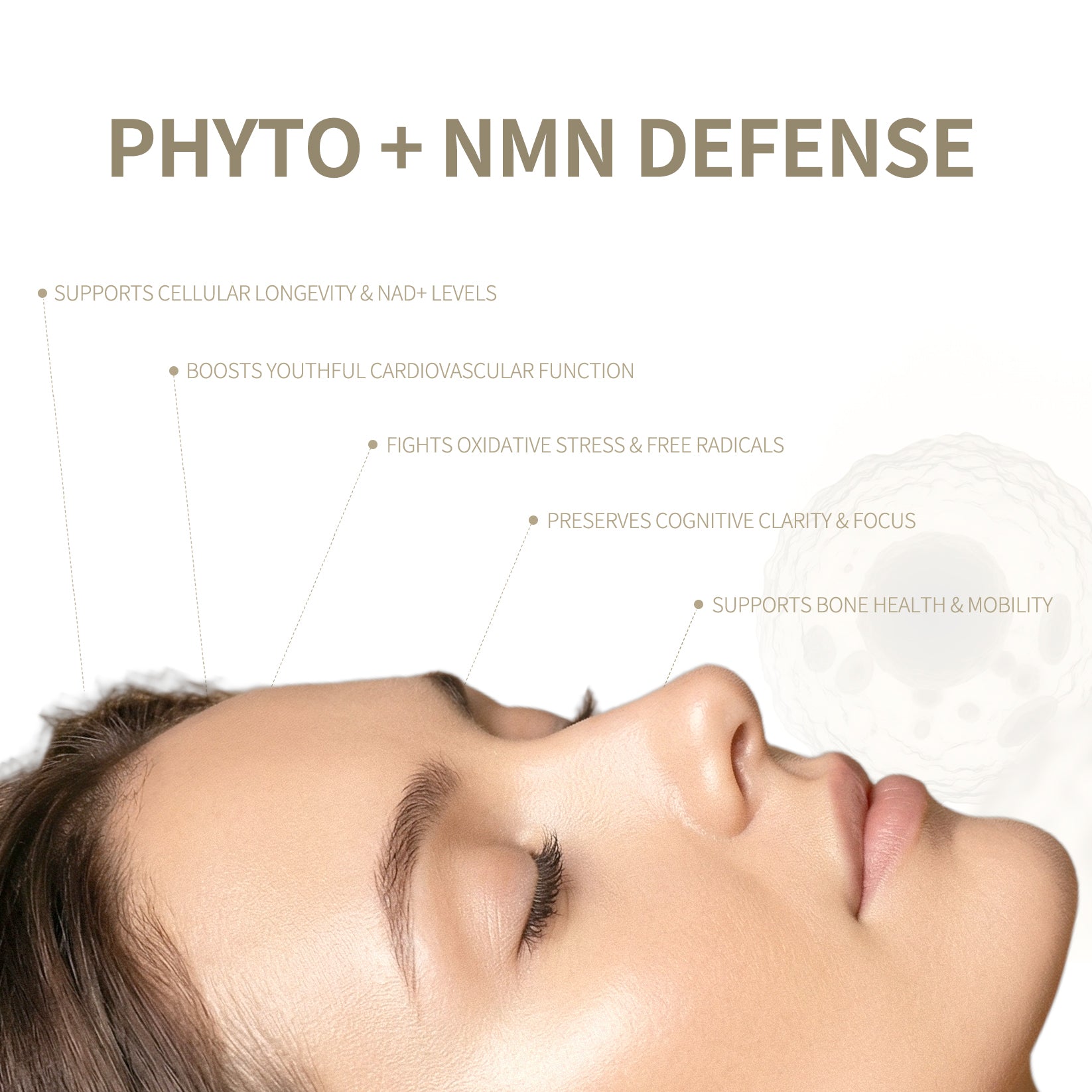 Mitochondrial Function Test